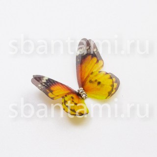 Cat007-Product00095